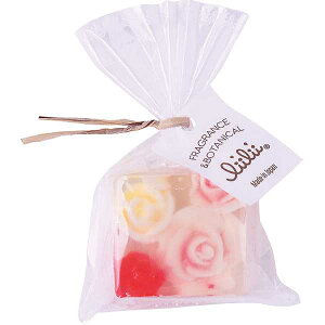 �v�`���B���B�\�[�v(���[�Y)��PL02�� �o�Y���j�� ���Ԃ� ���C�j�� �V�z���j�� �����o�� �@�� ���T�Ԃ� �����p �l�ߍ��킹 �l�C ��i �F�l �e�� �Ƒ� ���e ����