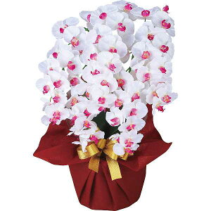 y/z|A[eBtBVt[  5{Ӓ| MtgZbg/v[g aj j oYj j Ԃ Cj Vzj o