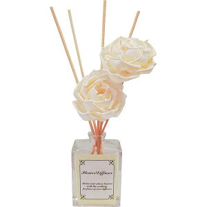 |\t[fBt[U[| v[g/j j oYj oYj j Ԃ Cj Vzj o @ TԂ