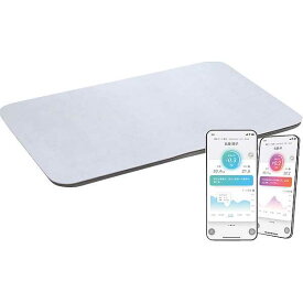 【送料無料】|スマートバスマット（体重計モデル）| 美容 ケアー 健康用品/プレゼント お祝い 出産内祝い 内祝い お返し 快気祝い 新築内祝い 引き出物 法事 香典返し
