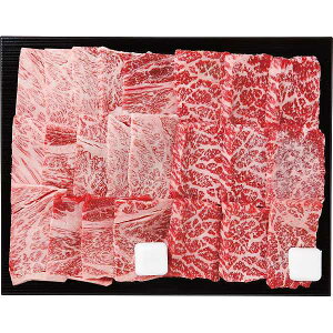 y/z䋍 [XE ēHה׃Zbgiv500gj a  v[g j oYj j Ԃ Cj Vzj o @ TԂ