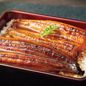【送料無料/直送】早割|鰻楽 国産うなぎ蒲焼（長焼）（2尾）|惣菜 和風惣菜 蒲焼き お中元 サマーギフト 夏ギフト 中元 お中元/早割