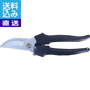 y/z@yʙ GS|25L @yʙGS|25L v[g j aj hV̓ ̓ ̓ Əɂ i