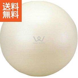 【送料無料】アルインコ　エクササイズボール（65cm） ホワイト＜WBN065＞