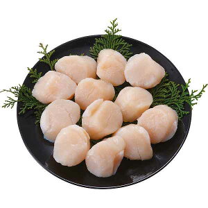 y/zkCYقĊLi250gj kCYقĊL250g v[g j aj hV̓ ̓ ̓ Əɂ i