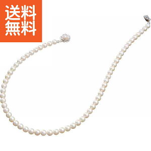 yz|p[Ep[EREx {^lbNX|NS65 v[g j aj hV̓ ̓ ̓ Əɂ