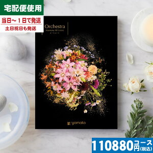 y/zBest Collection-xXgRNV-I[PXg ㎿J^OMtg j oYj j j MtgZbg v[g lC ㎿  a  ei 