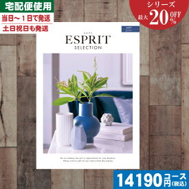【あす楽/土日祝日も発送】カタログギフト 割引【安心の宅配便/送料無料】 最大20%OFF チョイス ギフト エスプリ・チョイス エアリー入学内祝い/内祝い 結婚祝い 出産祝い お祝い お中元 お歳暮 ギフトセット 粗品 結婚 出産 グルメ |カタログギフト| 税込11440円コース