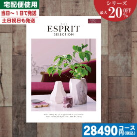 【あす楽/土日祝日も発送】カタログギフト 割引【安心の宅配便/送料無料】 最大20%OFF チョイス ギフト エスプリ・チョイス シンプル / 内祝 出産内祝い 結婚内祝い お祝い ギフトセット プレゼント 人気 誕生日 お礼 |カタログギフト| 税込28490円コース