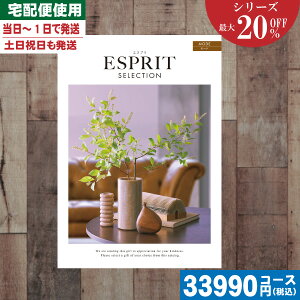 yy/yjzJ^OMtg yS̑z/z ő20%OFF `CX Mtg GXvE`CX [h / j oYj j j MtgZbg v[
