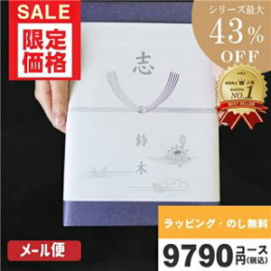 J^OMtg TԂ yS錾///ǐՂł郁[ցző43 nCNIeB 9790~R[XyWPSLV-S-HOR[Xz@ @v TԂ ԗi |J^O