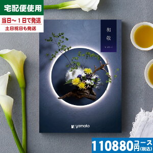 y/zt-܂悤-ahJ^OMtg TԂ  @@v ԗi |J^OMtg| ō110990~R[X