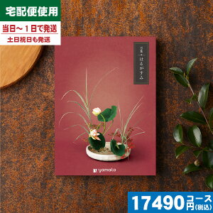 y/zt-܂悤-͂邪݃J^OMtg TԂ  @@v ԗi |J^OMtg| ō17490~R[X