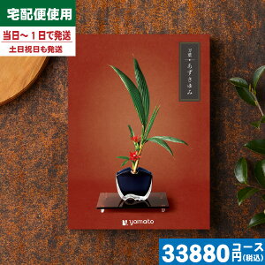 y/zt-܂悤-݃J^OMtg TԂ  @@v ԗi |J^OMtg| ō33990~R[X