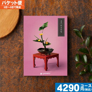 y/zt-܂悤-͂͂ȃJ^OMtg TԂ  @@v ԗi |J^OMtg| ō4290~R[X