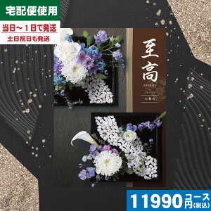 yy/yjzJ^OMtg TԂyS錾//zցz e[(O) 10800~R[XyijAOOΓԁiႭȂjz@ @v TԂ ԗi 