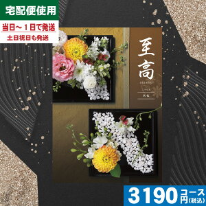 yy/yjzJ^OMtg TԂyS錾//zցz e[(O) 2800~R[XyijBOHijz@ @v TԂ ԗi 