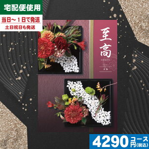 yy/yjzJ^OMtg TԂyS錾//zցz e[(O) 3800~R[XyijCOijz@ @v TԂ ԗi 