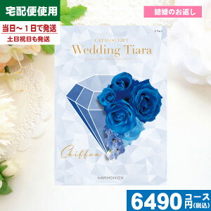 yy/yjzyS̑z/zJ^OMtg  uC_ j eBA VtH / n[jbN J^OMtg uC_  o j |J^