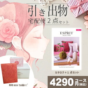 |ozփZbg|2ioZbgyzGXv VvƂ̃uC_z2_Zbg o َq j N َq Ԃ Ԃ j  