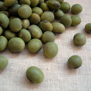 ΂ 1kg 2025NY ߘa7NY R`Y 哤