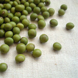 _ 800g 2024NY ߘa6NY XY 哤 `bN  [ [M 1/2]