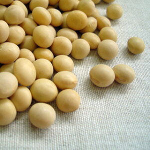 哤 I 5kg 2024NY ߘa6NY kCY ߂̎q 3.0  ƖppbN
