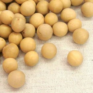 NAXZ[ 哤 800g 2024NY ߘa6NY kCY ^}tN 3.2 `bN  [[M 1/2]