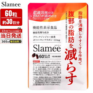 Slamee �X���~�[ �����̎��b �牺���b �_�C�G�b�g �T�v�� 60�� �u���b�N�W���W���[ �T�v�� �@�\���\���H�i �C�R���X �T�v�������g