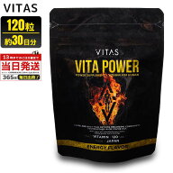 レビュー投稿で100円クーポン バイタス ビタパワー マルチビタミン 120粒 30日 分 サプリ サプリメント V…