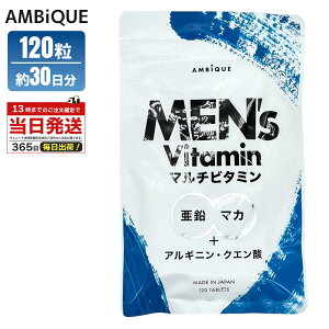 アンビーク メンズマルチビタミン 亜鉛 マカ サプリ 栄養機能食品 ビオチン 14種ビタミン アルギニン シトルリン クエン酸 即効チャージ 持続型 錠剤 国内製造 栄養補給 サプリメント