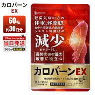楽天市場】プラセンタ（サプリメント｜ダイエット・健康）の通販 プラセン α プレミアム サプリメント 240粒2箱 サンプル3個付き