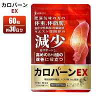カロバーンEX サプリメント 栄養補助食品 ダイエットサポート 国産 健康食品 αリポ酸 コンブチャ ガルシ…