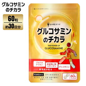 グルコサミンのチカラ サプリメント 30日分 60粒 プロテオグリカン ひざ・関節 3大成分配合 非変性2型コラーゲン ヒアルロン酸 グルコサミン コンドロイチン 筋肉サポート 国内製造 悩み解決ラボ