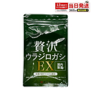 ґEWKVEX 200mg 60 a̐X Y Y Tv N clQ tďC Nێ a Tvg j  h{⏕Hi {