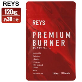 REYS レイズ プレミアムバーナー 120粒 約 30回分 ダイエット サプリ PREMIUM BURNER