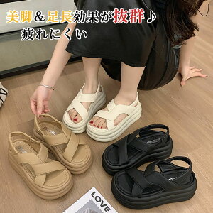 T_ fB[X T_ ₷ X|[cT_ gAbv 5cm ɂ Xbp  ؍ ʋC ~ r  _炩  X|[cT_ C V[Y