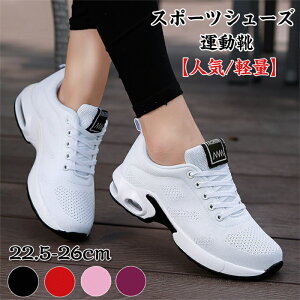 yzXj[J[ fB[X  EH[LOV[Y jOV[Y C ^C WMOV[Y W V[Y X|[cV[Y g[jOV[Y _CGbg 