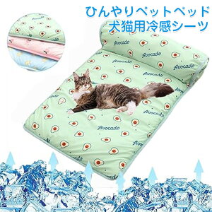 ėp ybgp ⊴V[c ybgxbh  L Ђ ybgxbh ybg ėp  MǑ΍ ⊴ xbh}bg ӂӂ ^ Lp⊴V[c ڐG⊴ Rȗ Rh~ 