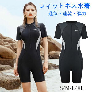 tBbglX  fB[X I[C  fB[X ̌^Jo[  tBbglX I[C ̌^Jo[ 킢 p j  X|[eB   }} 