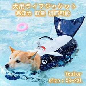 p CtWPbg CtxXg ^ ^ ^ p  y ߉\ }WbNe[v ybgp Ct WPbg C̐Vт S S ̖h~ AEghA 