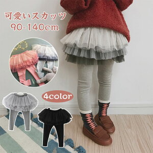 XJbc LbY `[ XJbc q `` XJbc LbY WjA xr[ ̎q {gX XJ[g MXt XJ[gtMX 킢 ǂ qǂ _X 