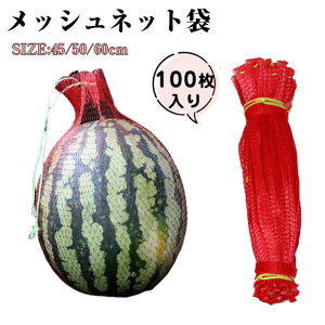 ݂艺XCJlbg 100 pr [vtbVlbg lbg XCJ L_lbg vȃlbgobO bVlbg bVlbg ݂艺XCJlbg 