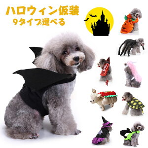 ybg̕ nEB[ RXv ybg  RE̗ ybgp RX`[ ybgEFA ̕ RXvߑ ʔ ʐ^ Be  ybgEFA AE^[ R[g yb