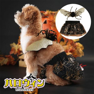 nEB RXv  L ybg L  Halloween 2_Zbg RX`[ ߑ @g pȒP p Lp  ˂ ybg  hbOEFA LbgEFA  ϑ ϐg 