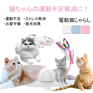 L  L炵  ˂  Lp ybgp d 360x]  LV ybg ZT[t LpL ̃fUC u Sf ^s Xg