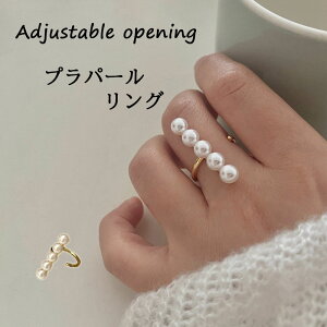 O w ANZT[ fB[X O vp[ t[TCY fB[X TCY߉\ w p[O ANZT[ l v[g Mtg  a  Vv 