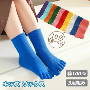 y3gzq C qp 5{w LbY V[g\bNX  C ܖ{w \bNX LbY V[g\bNX ۉ z  j̎q ̎q WjA 5{w g   