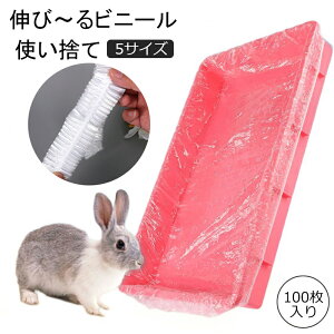 y100z悾Jo[ ybg ybgV[c  gC P[W rj[ ĝĂ悾ꂩV[g ĝ e 100 |ȒP ybg V[g V[c ybgV[g ybgp