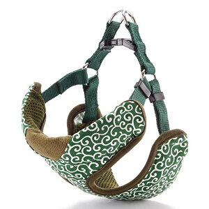 yeBI (Petio)  xXgH O[ SS TCY 